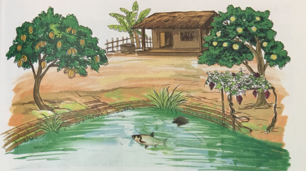 [Cánh điều] Giải Tiếng Việt 1 tập 1 bài 19: Chữ n, nh