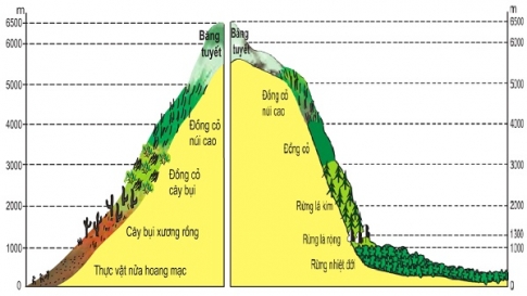 Bài 46: Thực hành sự phân hóa của thảm thực vật ở sườn đông và sườn Tây của dãy An det