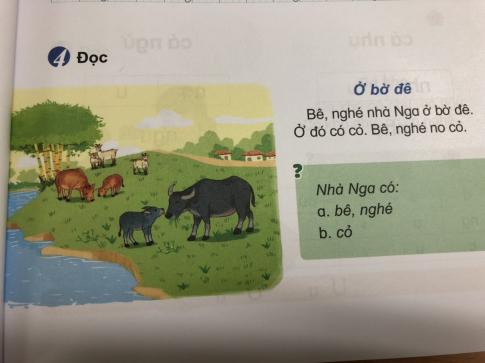 [Phát triển năng lực] Tiếng việt 1 bài 3C: ng, ngh