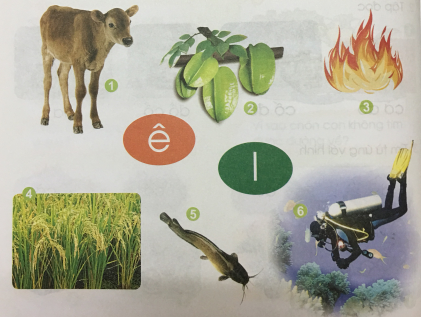 [Cánh điều] Giải Tiếng Việt 1 tập 1 bài 10: Chữ cái ê, l