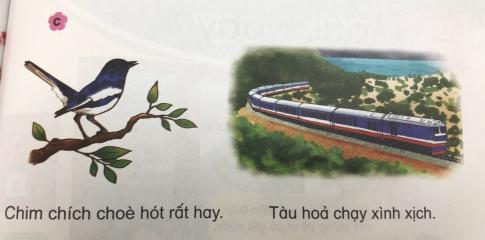 [Phát triển năng lực] Tiếng việt 1 bài 15E: oa, oe