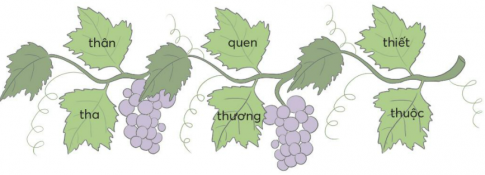 [Chân trời sáng tạo] Giải tiếng việt 2 bài 4: Bên cửa sổ