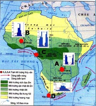 Bài 28: Thực hành phân tích lược đồ phân bố các môi trường tự nhiên, biểu đồ nhiệt độ và lượng mưa ở châu Phi