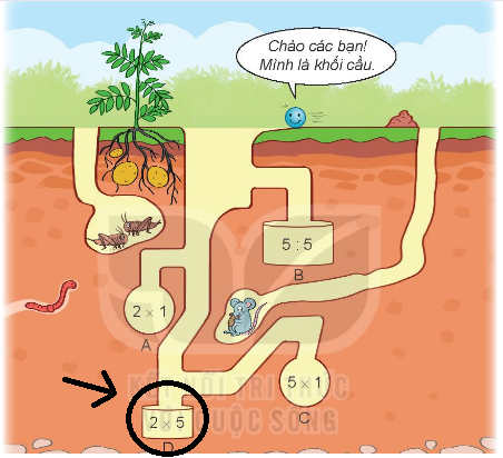 [Kết nối tri thức và cuộc sống] Giải toán 2 bài 46: Khối trụ, khối cầu