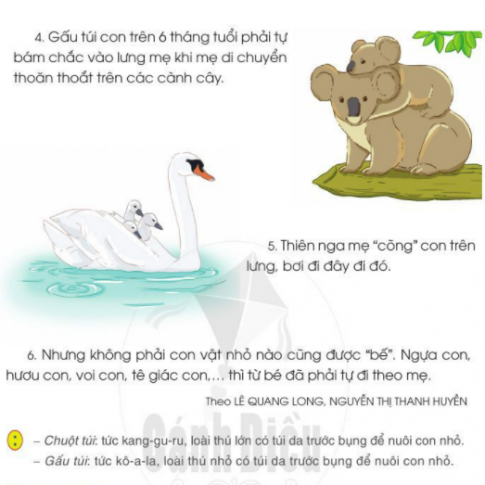 [Cánh Diều] Giải tiếng việt 2 bài 25: Thế giới rừng xanh