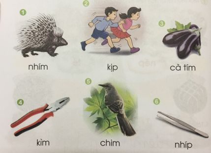 [Cánh điều] Giải Tiếng Việt 1 tập 1 bài 43: Im, ip