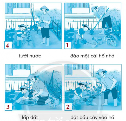 [CTST] Giải VBT Tiếng Việt 2 bài 2: Rừng ngặp mặn Cà Mau