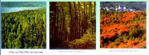 Bài 18: Thực hành nhận biết đặc điểm môi trường đới ôn hòa