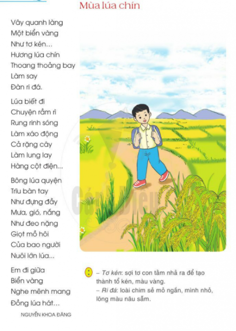 [Cánh Diều] Giải tiếng việt 2 bài 22: Chuyện cây, chuyện người 