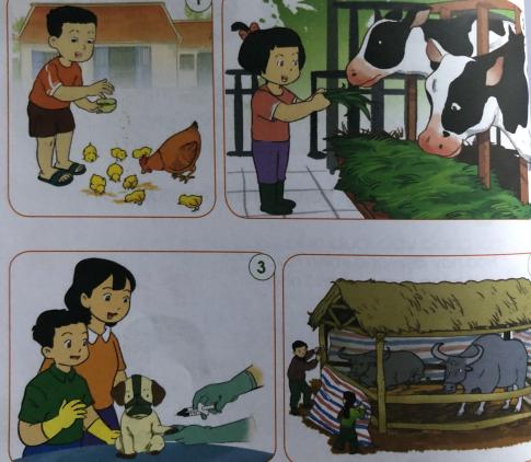 [Cánh diều] Giải tự nhiên và xã hội 1 Bài 12: Chăm sóc, bảo vệ cây trồng và vật nuôi