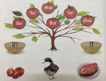 [Cánh điều] Giải Tiếng Việt 1 tập 1 bài 64: in, it