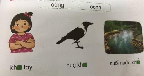 [Phát triển năng lực] Tiếng việt 1 bài 16D: oang, oăng, oanh