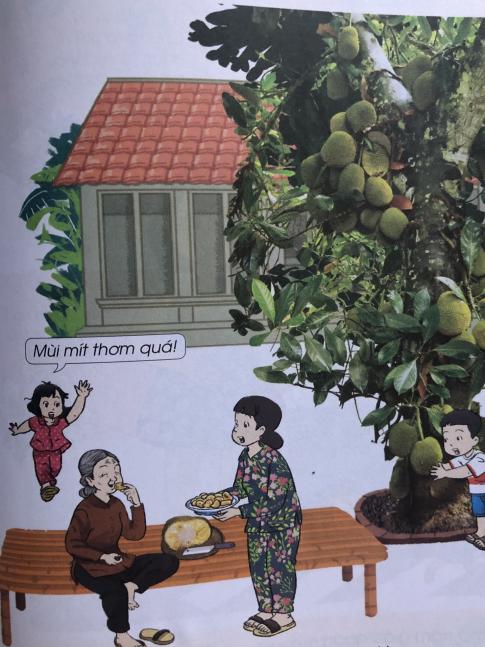 [Cánh diều] Giải tự nhiên và xã hội 1 Bài 15: Các giác quan