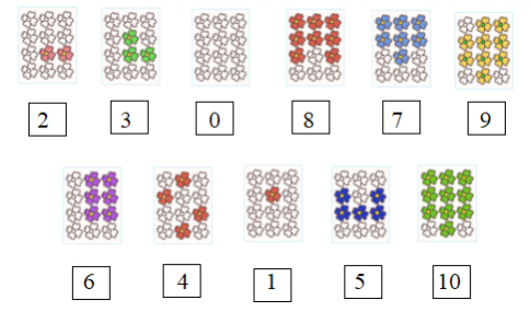 [Phát triển năng lực] Giải toán 1 bài: Ôn tập 1