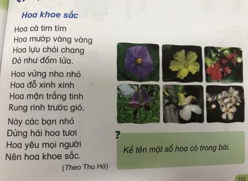 [Phát triển năng lực] Tiếng việt 1 bài 15E: oa, oe