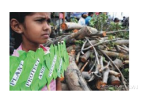 Giải VBT tiếng Anh 6 VNEN unit 11: Our greener world