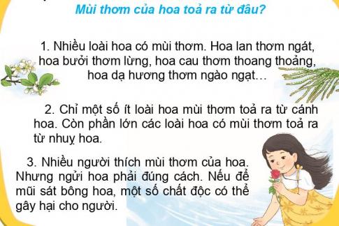 [Phát triển năng lực] Tiếng việt 1 bài 25B: Những bông hoa thơm