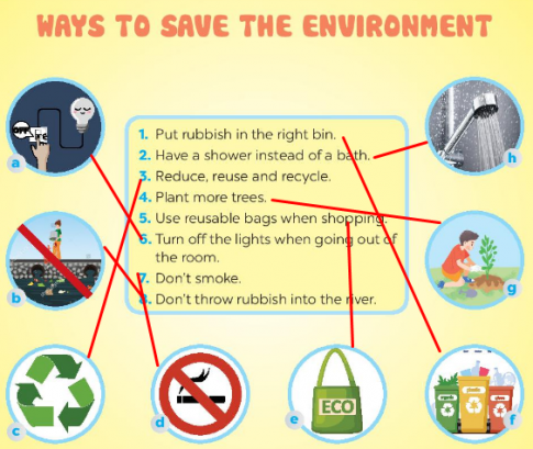 Giải SBT tiếng anh 6 Global success unit 11: Vocabulary & Grammar