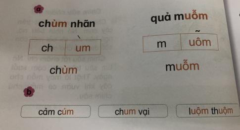 [Phát triển năng lực] Tiếng việt 1 bài 11E: um, uôm