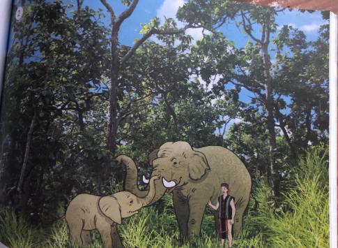 [Cánh diều] Giải tự nhiên và xã hội 1 Bài1: Các con vật quanh em