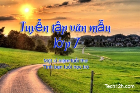 Viết bài văn biểu cảm (có sử dụng yếu tố miêu tả, tự sự) theo một trong hai chủ đề sau: Một kỉ niệm tuổi thơ hoặc Tình bạn tuổi học trò - bài mẫu 1