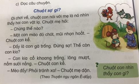 [Phát triển năng lực] Tiếng việt 1 bài 17A: Ôn tập oa- oe, oai - oay, oan - oăn, oat - oăt, oang - oăng - oanh, oac - oăc - oach