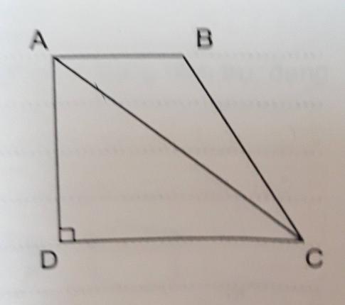 Giải vbt toán 5 tập 2 bài 119: luyện tập chung - Trang 43,44