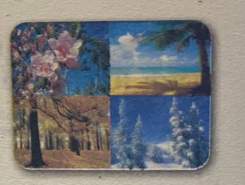 Bài tập cuối tuần Tiếng anh 5: Ôn tập cuối kì 