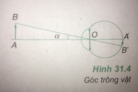 Góc trông một vật là gì và phụ thuộc vào các yếu tố nào? - sgk Vật lí 11 trang 199