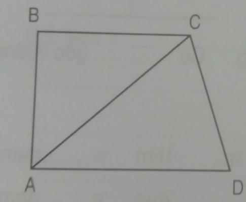 Phiếu bài tập tuần 9 toán 3 tập 1 (đề B)