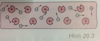 Hình 20.3 là mô hình đơn giản của một đoạn dây kim loại. Hãy nhận biết trong mô hình này - sgk Vật lí 7 trang 56