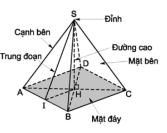 Giải Bài 7: Hình chóp đều và hình chóp cụt đều - sgk Toán 8 tập 2 Trang 116-1