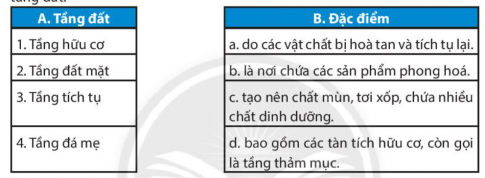 [Chân trời sáng tạo] Giải SBT lịch sử và địa lí 6 bài 19: Lớp đất và các nhân tố hình thành đất. Một số nhóm đất điển hình