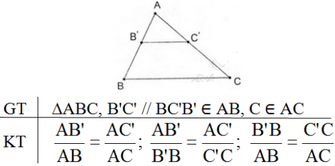 Giải Phần câu hỏi Bài: Ôn tập chương 3 - sgk Toán 8 tập 2 Trang 89