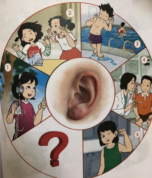 [Cánh diều] Giải tự nhiên và xã hội 1 Bài 15: Các giác quan