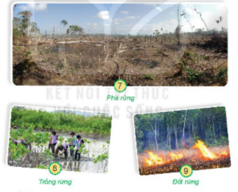 [Kết nối tri thức và cuộc sống] Giải tự nhiên xã hội 2 bài 29: Một số thiên tai thường gặp