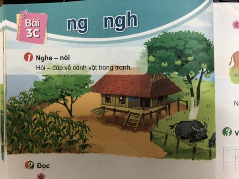 [Phát triển năng lực] Tiếng việt 1 bài 3C: ng, ngh