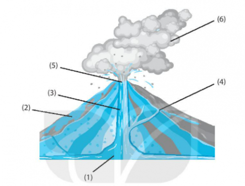 [Kết nối tri thức] Giải SBT lịch sử và địa lí 6 bài: Núi lửa và động đất