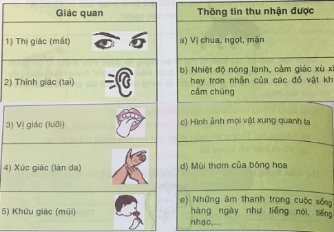 Soạn tin học VNEN 6 bài 1: Thông tin và tin học