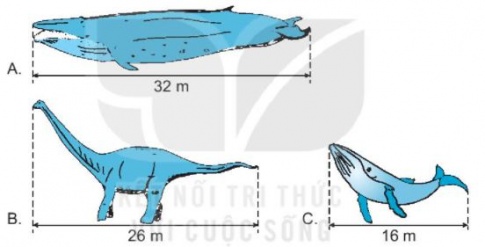 [KNTT] Giải VBT Toán 2 bài 58: Luyện tập chung
