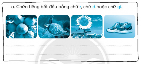 [CTST] Giải VBT Tiếng Việt 2 bài 2: Rừng ngặp mặn Cà Mau