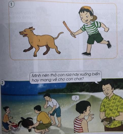 [Cánh diều] Giải tự nhiên và xã hội 1 Bài 12: Chăm sóc, bảo vệ cây trồng và vật nuôi