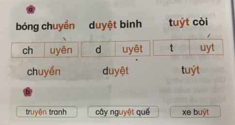 [Phát triển năng lực] Tiếng việt 1 bài 17D: uyên, uyêt, uyt