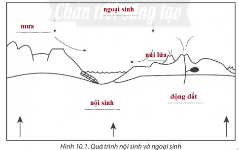 [Chân trời sáng tạo] Giải SBT lịch sử và địa lí 6 bài 10: Quá trình nội sinh và ngoại sinh. Các dạng địa hình chính. Khoáng sản