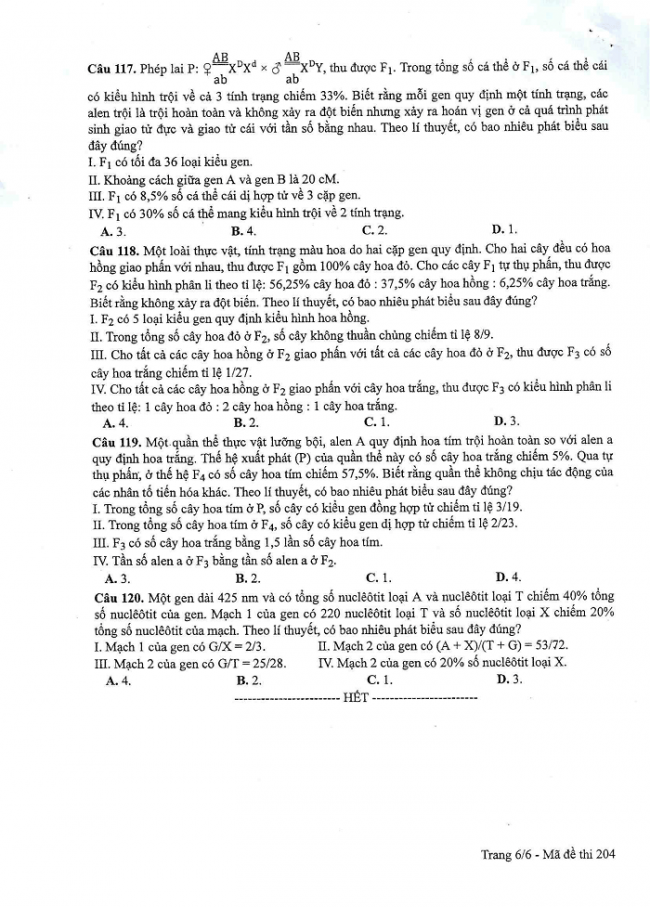 Đề và đáp án môn Sinh học mã đề 204 thi THPT quốc gia năm 2017 - đáp án của bộ GD-Đ4