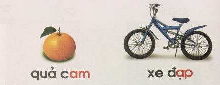 [Cánh điều] Giải Tiếng Việt 1 tập 1 bài 36: Am, ap