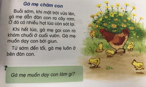 [Phát triển năng lực] Tiếng việt 1 bài 11C: om, ôm, ơm