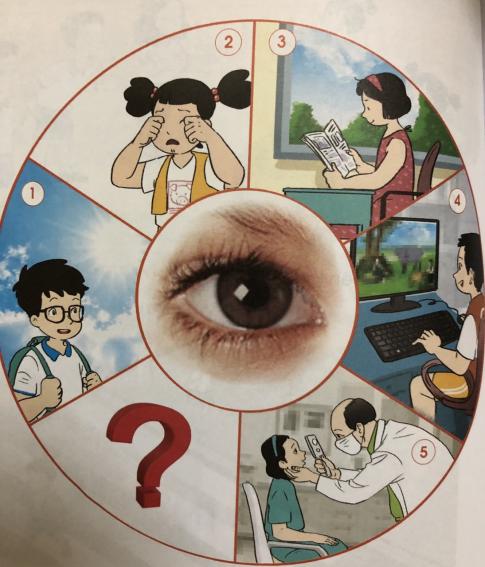 [Cánh diều] Giải tự nhiên và xã hội 1 Bài 15: Các giác quan