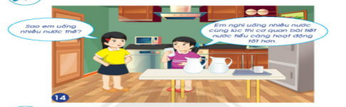 [Chân trời sáng tạo] Soạn tự nhiên và xã hội 2 bài 24: Chăm sóc, bảo vệ cơ quan bài tiết nước tiểu