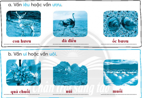 [CTST] Giải VBT Tiếng Việt 2 bài 2: Con suối bản tôi